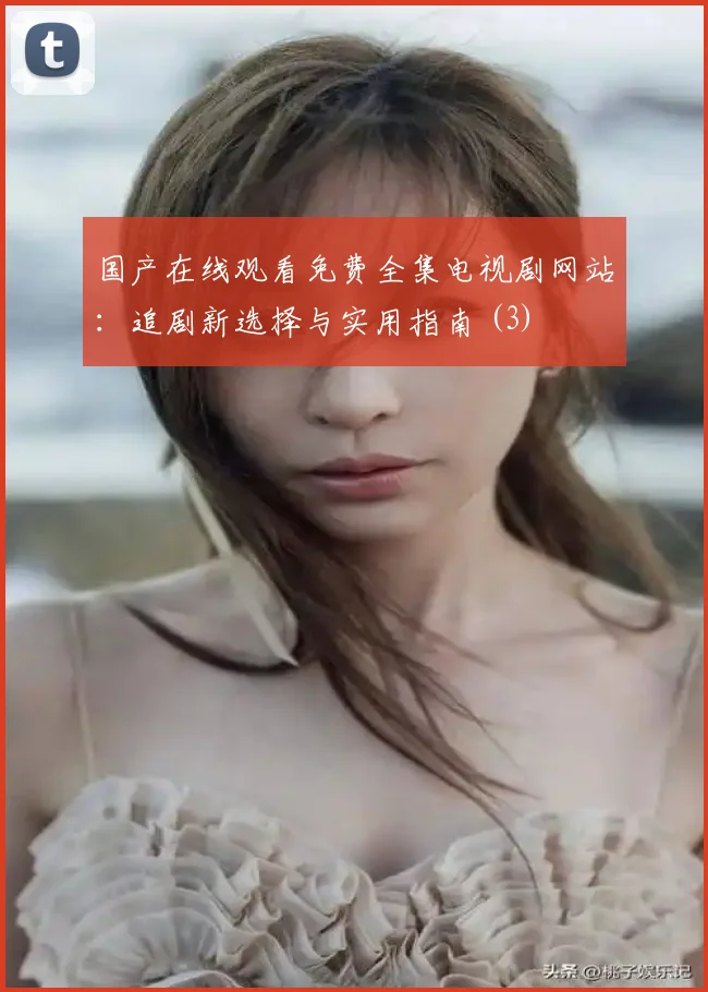 国产在线观看免费全集电视剧网站：追剧新选择与实用指南 (3)