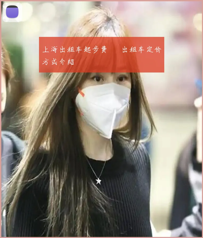 上海出租车起步费 ​出租车定价方式介绍