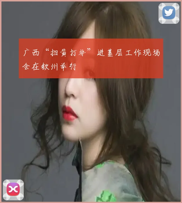 广西“扫黄打非”进基层工作现场会在钦州举行