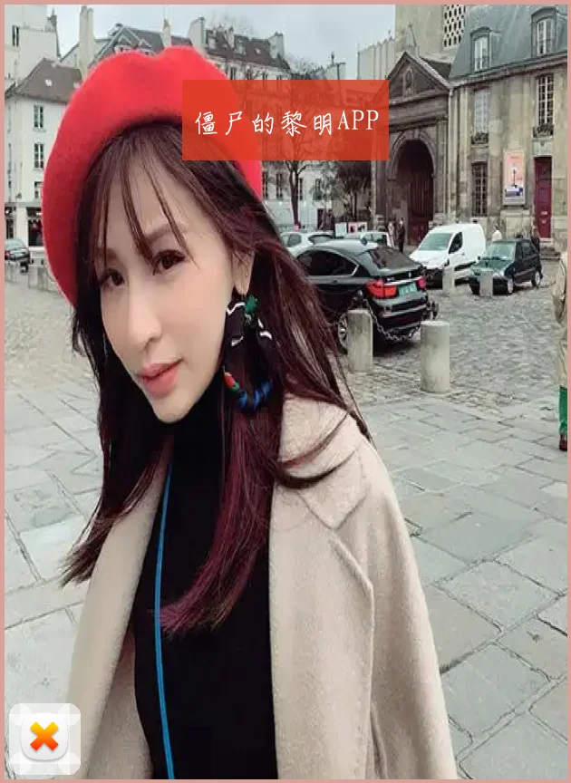 僵尸的黎明APP