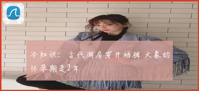 冷知识：古代洞房穿开裆裤 大象的怀孕期是2年