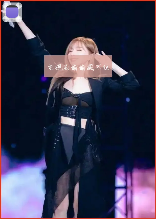 电视剧偷偷藏不住