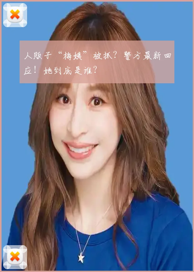 人贩子“梅姨”被抓？警方最新回应！她到底是谁？