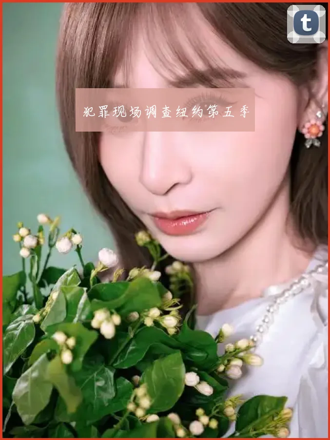 犯罪现场调查纽约第五季