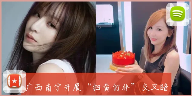 广西南宁开展“扫黄打非”交叉暗访检查活动