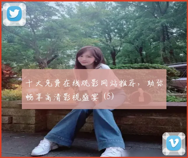 十大免费在线观影网站推荐，助你畅享高清影视盛宴 (5)