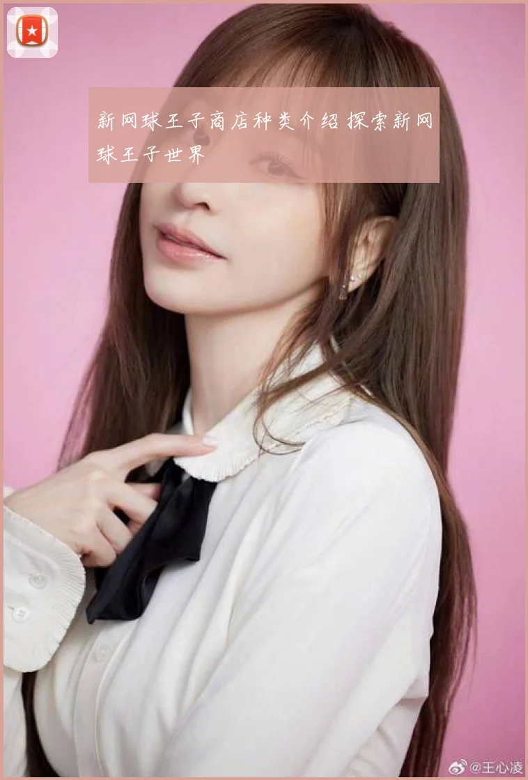 新网球王子商店种类介绍 探索新网球王子世界