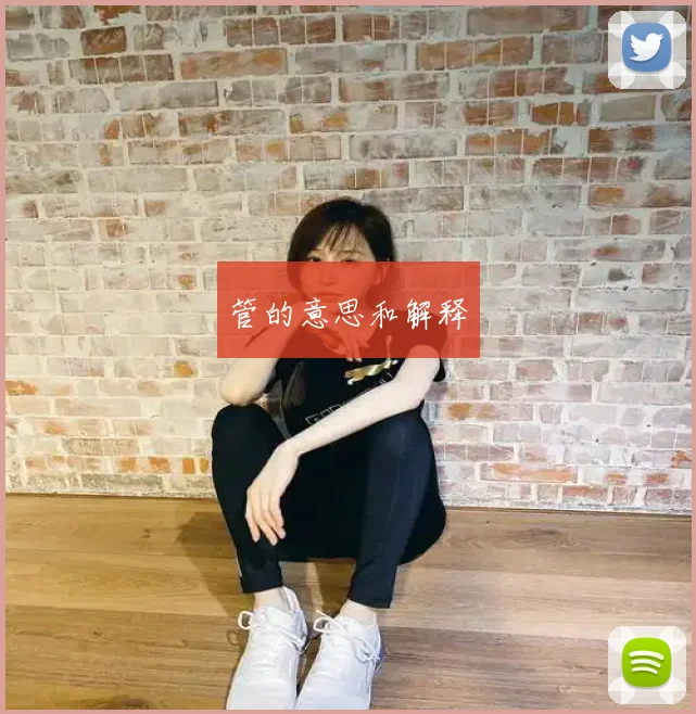 管的意思和解释