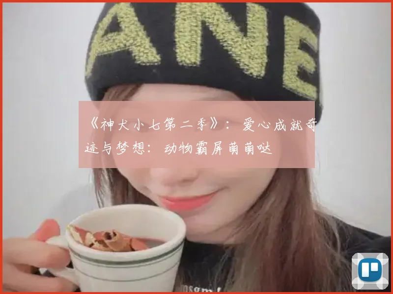 《神犬小七第二季》：爱心成就奇迹与梦想：动物霸屏萌萌哒