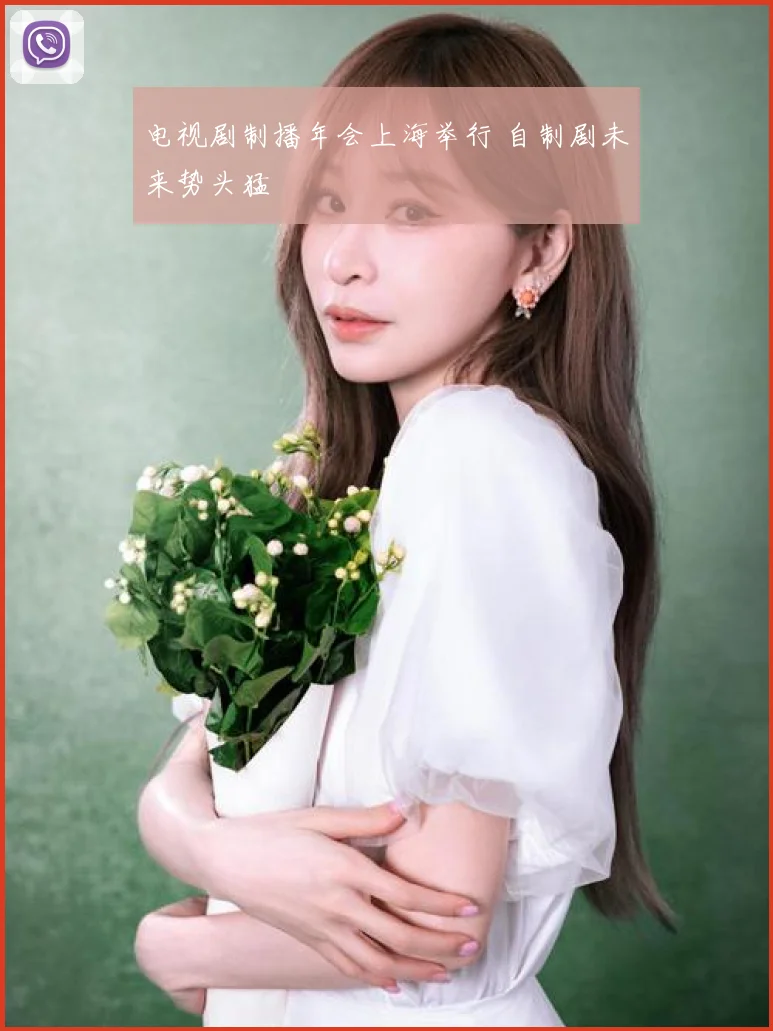 电视剧制播年会上海举行 自制剧未来势头猛