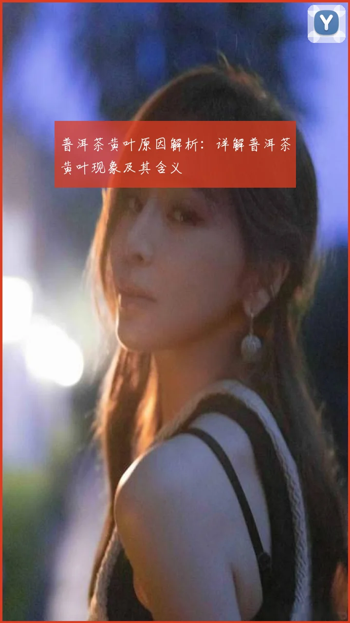 普洱茶黄叶原因解析：详解普洱茶黄叶现象及其含义