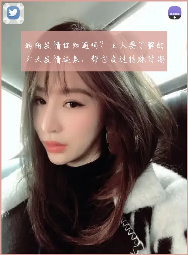 狗狗发情你知道吗？主人要了解的六大发情迹象，帮它度过特殊时期