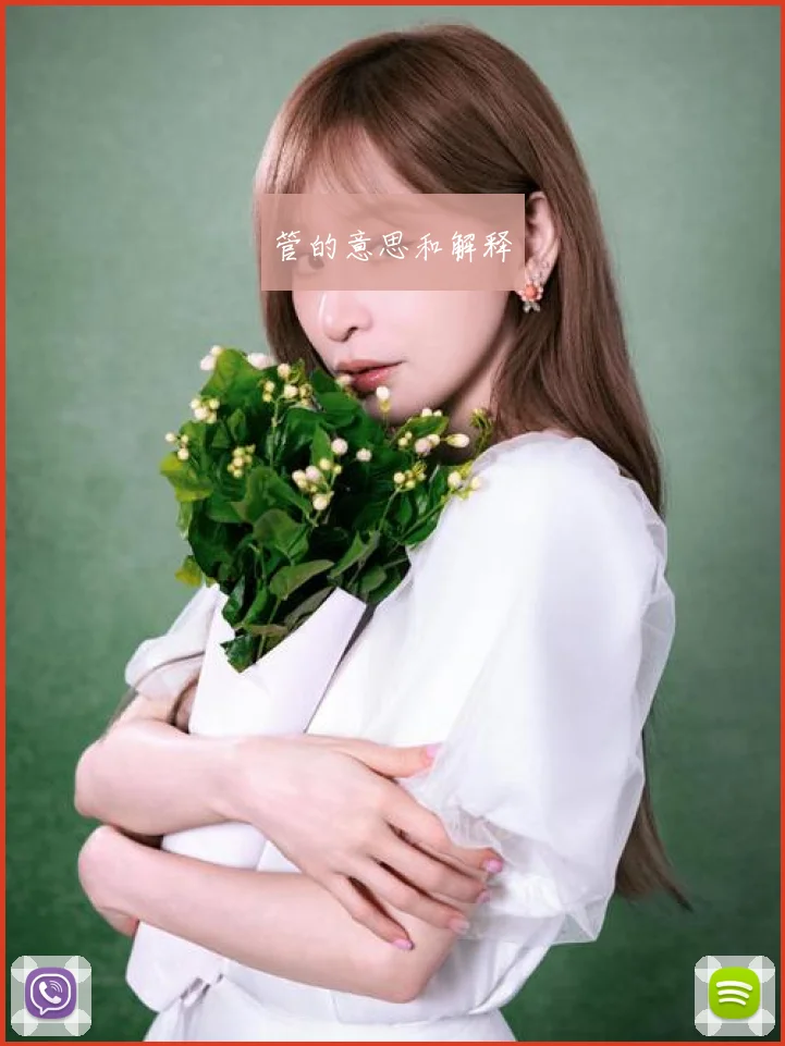 管的意思和解释