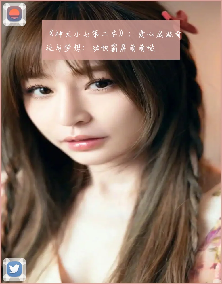 《神犬小七第二季》：爱心成就奇迹与梦想：动物霸屏萌萌哒