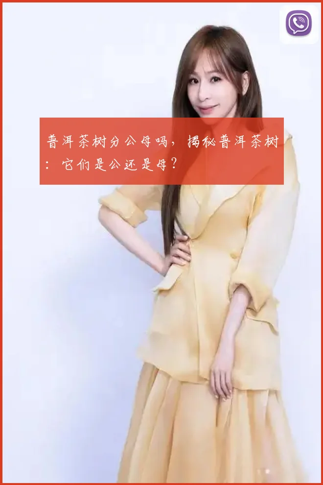 普洱茶树分公母吗，揭秘普洱茶树：它们是公还是母？