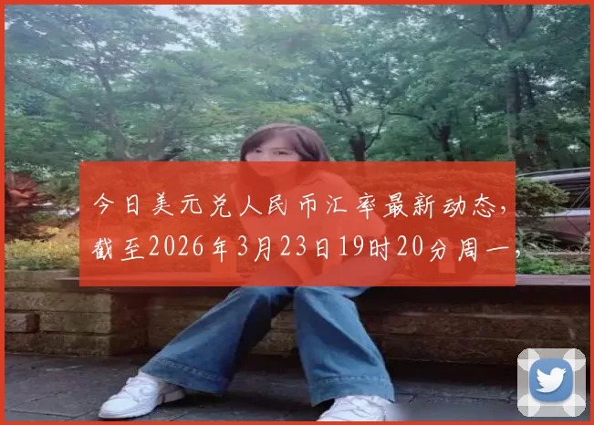 今日美元兑人民币汇率最新动态，截至2026年3月23日19时20分周一，中间价6.9041较前日下调143基点，在岸现价6.9020日内震荡偏强