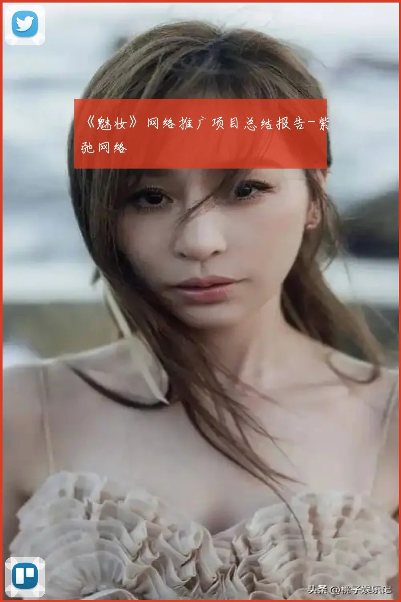 《魅妆》网络推广项目总结报告-紫弛网络