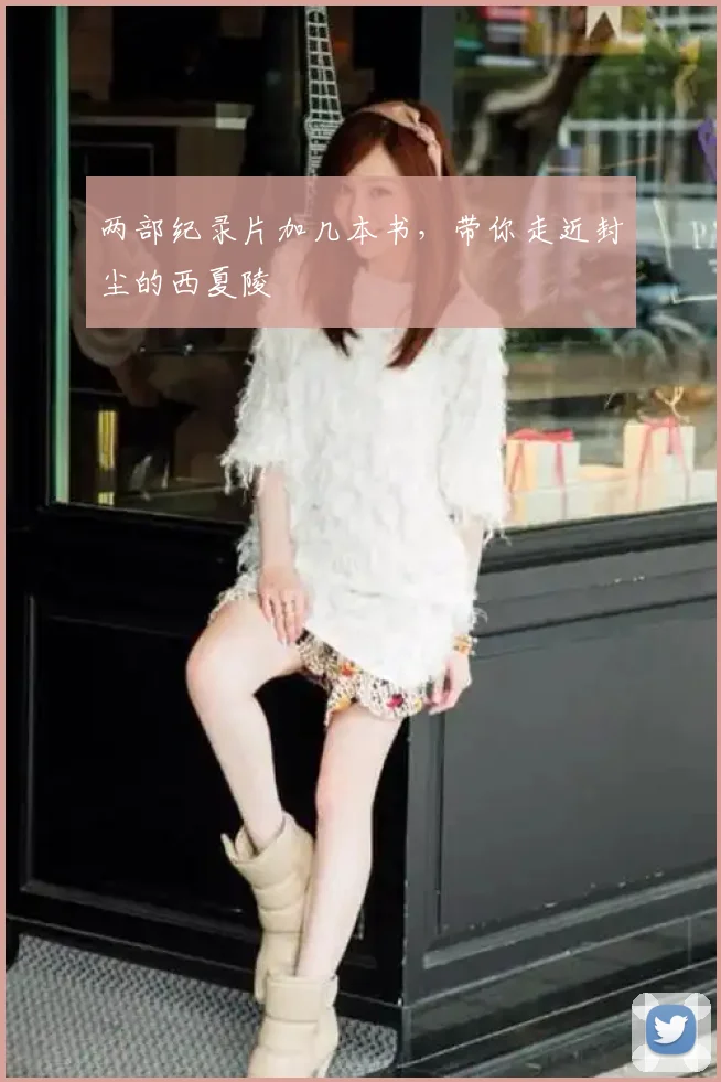 两部纪录片加几本书，带你走近封尘的西夏陵