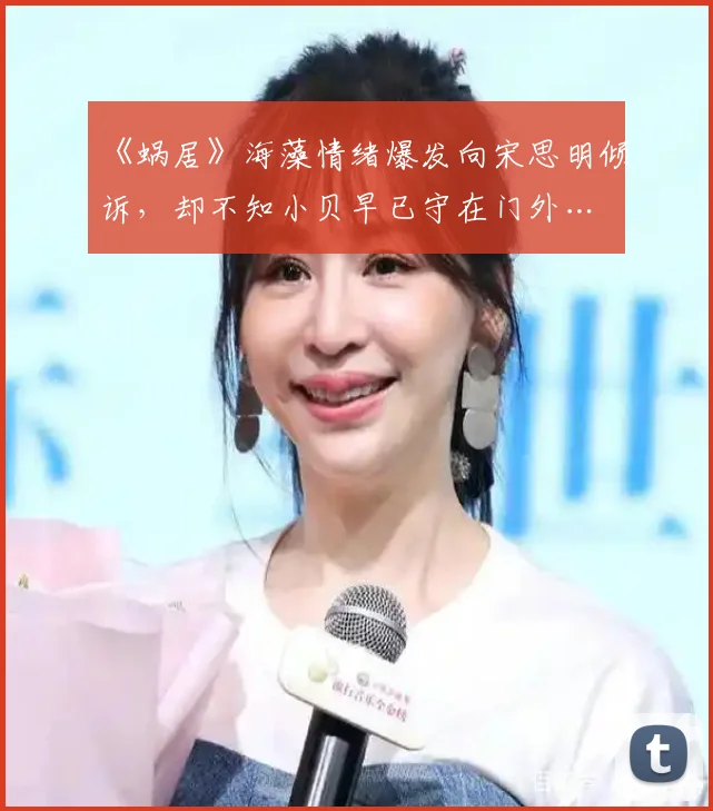 《蜗居》海藻情绪爆发向宋思明倾诉，却不知小贝早已守在门外…