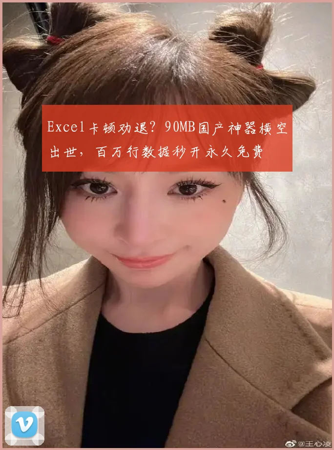 Excel卡顿劝退？90MB国产神器横空出世，百万行数据秒开永久免费