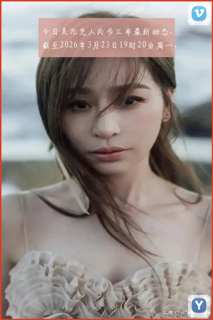今日美元兑人民币汇率最新动态，截至2026年3月23日19时20分周一，中间价6.9041较前日下调143基点，在岸现价6.9020日内震荡偏强