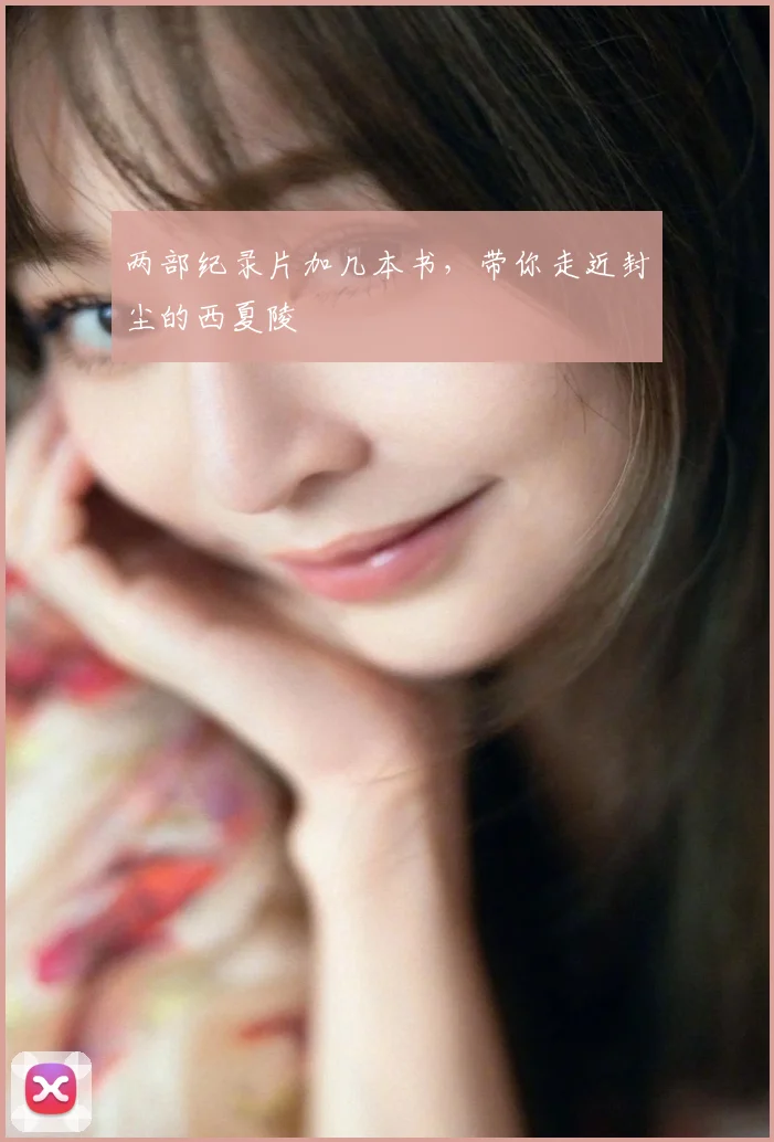 两部纪录片加几本书，带你走近封尘的西夏陵