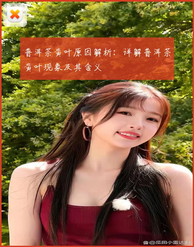 普洱茶黄叶原因解析：详解普洱茶黄叶现象及其含义