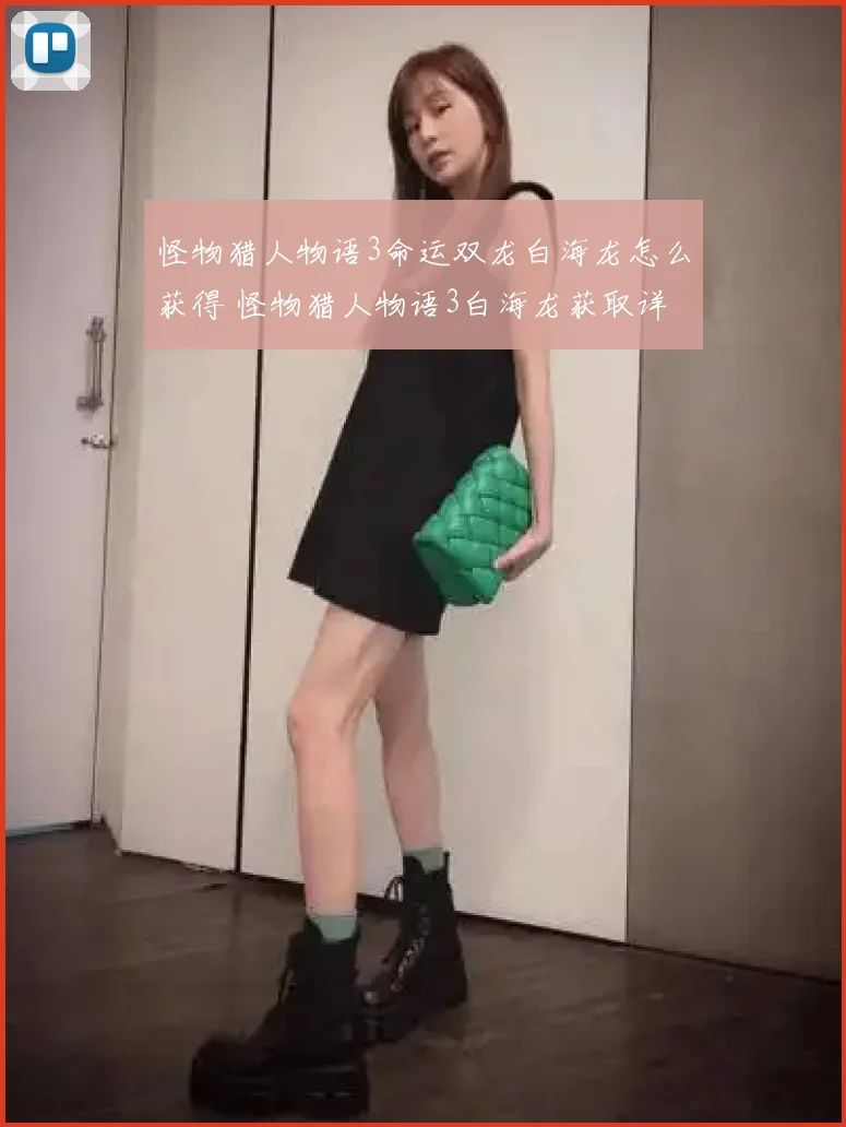 怪物猎人物语3命运双龙白海龙怎么获得 怪物猎人物语3白海龙获取详细位置一览