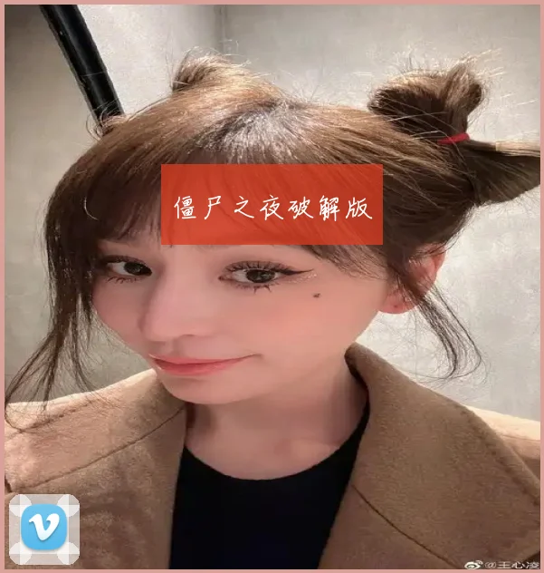 僵尸之夜破解版