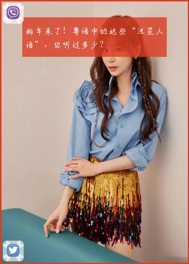 狗年来了！粤语中的这些“汪星人语”，你听过多少？