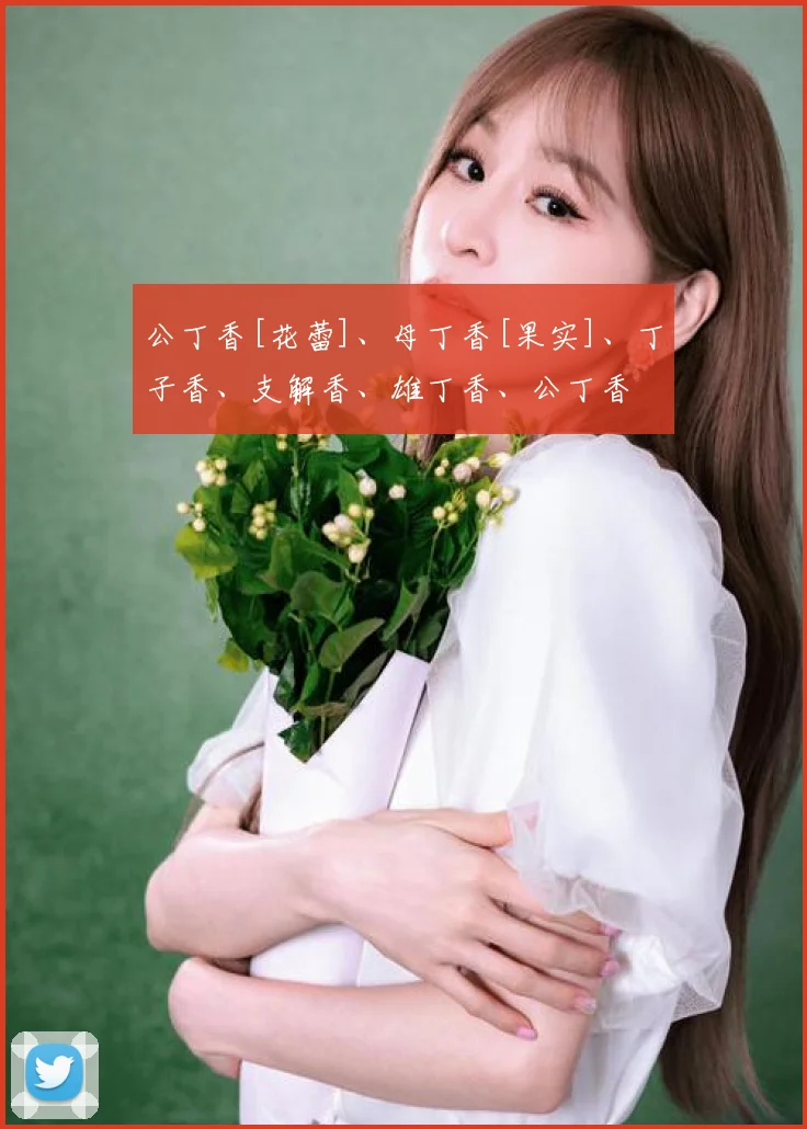公丁香[花蕾]、母丁香[果实]、丁子香、支解香、雄丁香、公丁香