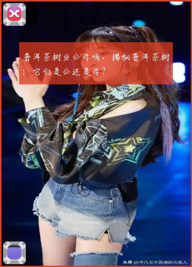 普洱茶树分公母吗，揭秘普洱茶树：它们是公还是母？