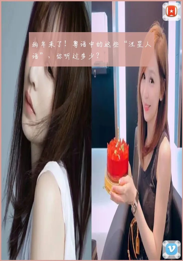 狗年来了！粤语中的这些“汪星人语”，你听过多少？