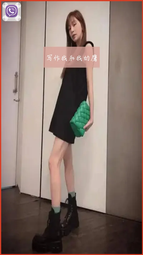 写作我和我的鹰